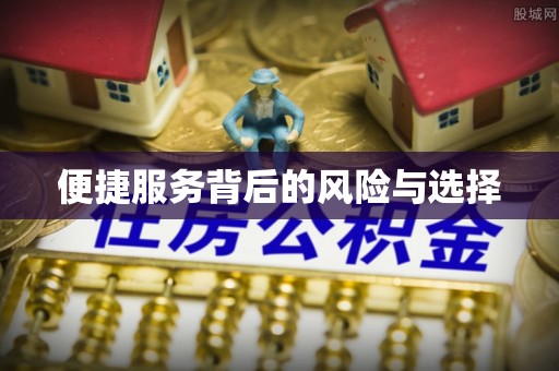 景宁便捷服务背后的风险与选择